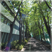 早稲田大学高等学院・中学部